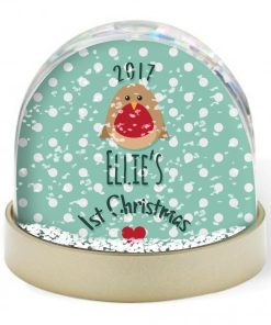 Snow Globe - Merry Christmas Robin