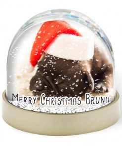 Snow Globe - Pets Christmas Photo