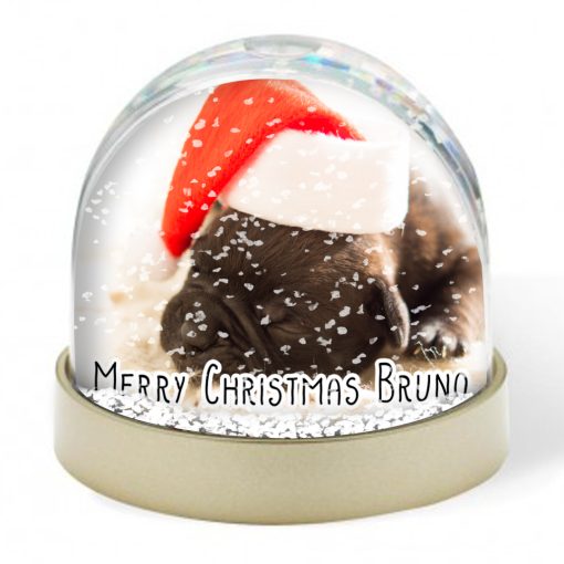 Snow Globe - Pets Christmas Photo
