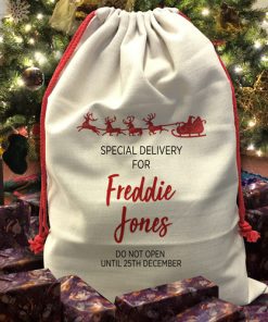 Santa Sack -Sleigh