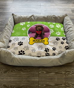 Personalised Dog Bed Paws Lime Green