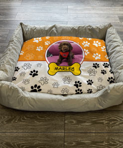 Personalised Dog Bed Paws Orange