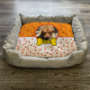 Personalised Dog Bed Paws & Bones Orange