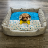 Personalised Dog Bed Paws & Bones Sky Blue