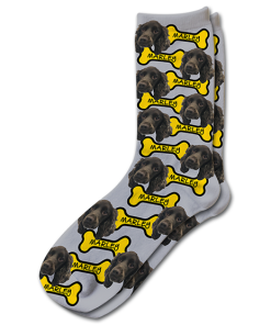 Pets