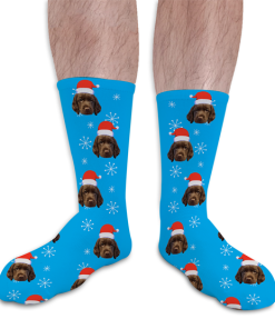 Pets Santa Hat Personalised Christmas Photo Socks