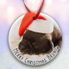  Pets Christmas Photo Upload  Ceramic Bauble