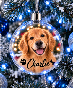 Pet Dog Photo & Name Upload - Jumbo Acrylic Bauble