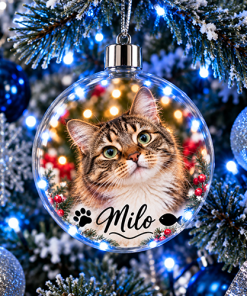 Pet Cat Photo & Name Upload - Jumbo Acrylic Bauble
